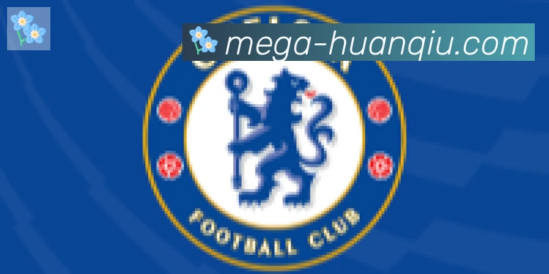环球体育官网合作伙伴